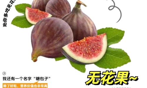 柠檬和苹果搭配效果-权威柠檬和苹果一起煮水喝行吗平台,分享专业柠檬可以和苹果一起榨果汁吗知识_柠檬和苹果一起打果汁有什么功效网