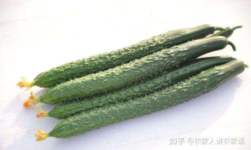 权威柠檬和苹果一起煮水喝行吗平台,分享专业柠檬可以和苹果一起榨果汁吗知识_柠檬和苹果一起打果汁有什么功效网