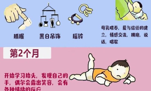 柠檬可以和苹果一起榨果汁吗-权威柠檬和苹果一起煮水喝行吗平台,分享专业柠檬可以和苹果一起榨果汁吗知识_柠檬和苹果一起打果汁有什么功效网